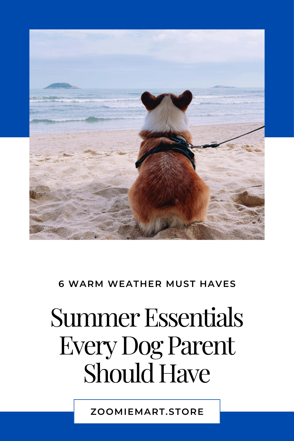 Summer Essentials Every Dog Parent Should Have