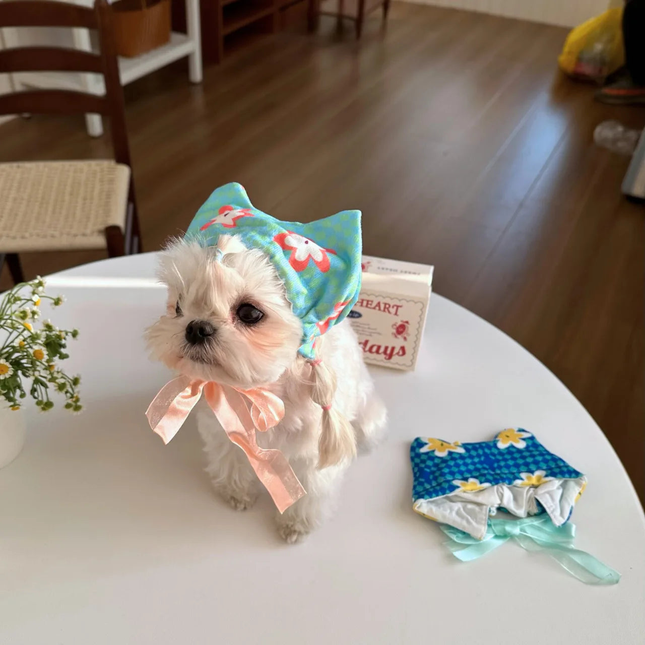 Howllywood Dog Head Scarf – Retro-Inspired Pupkerchief
