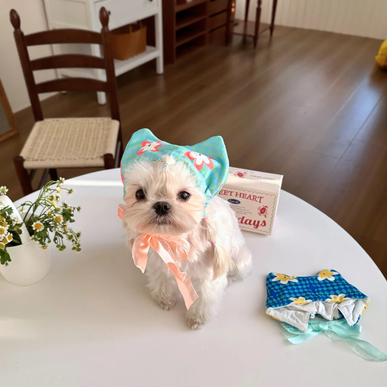 Howllywood Dog Head Scarf – Retro-Inspired Pupkerchief