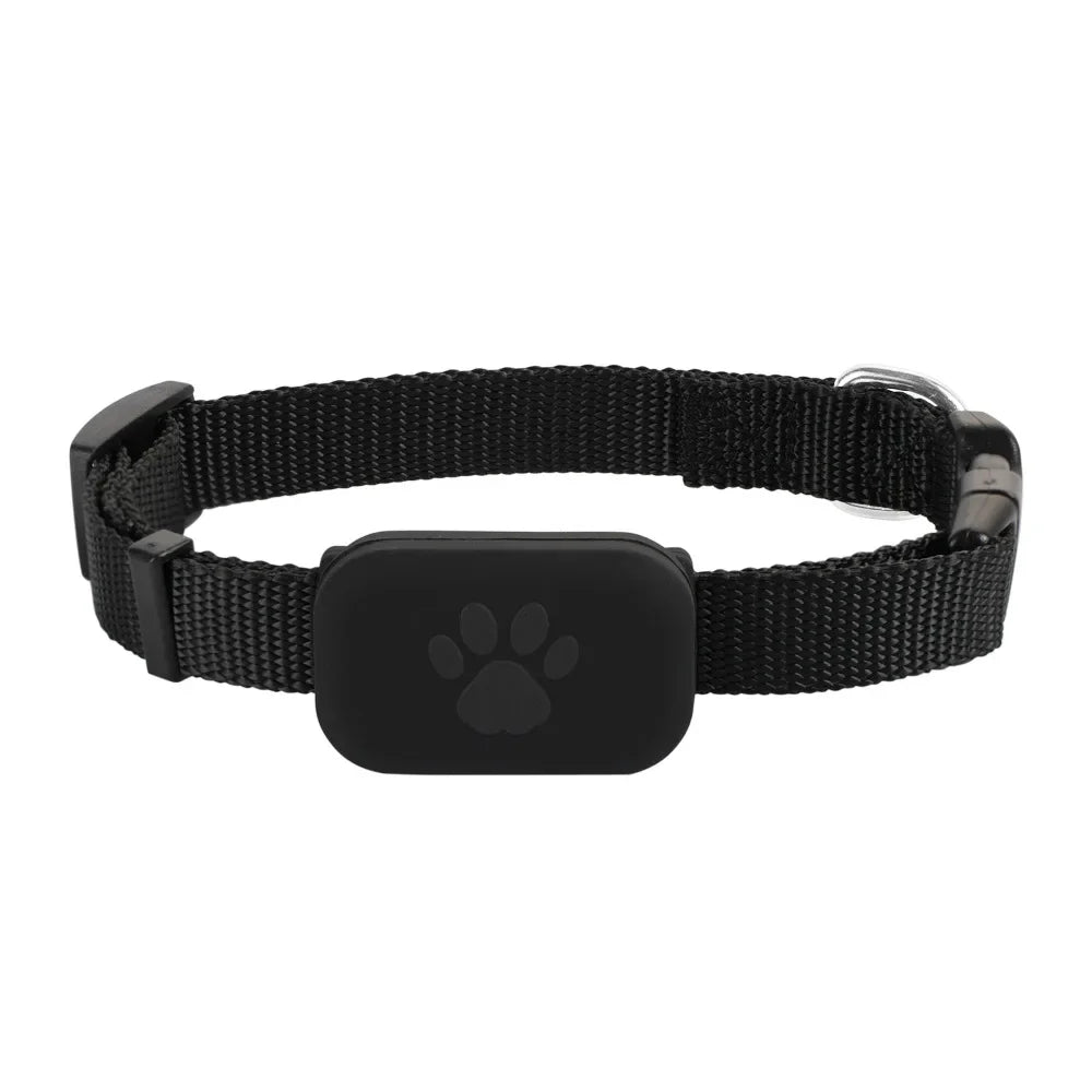 Waterproof GPS Dog Collar