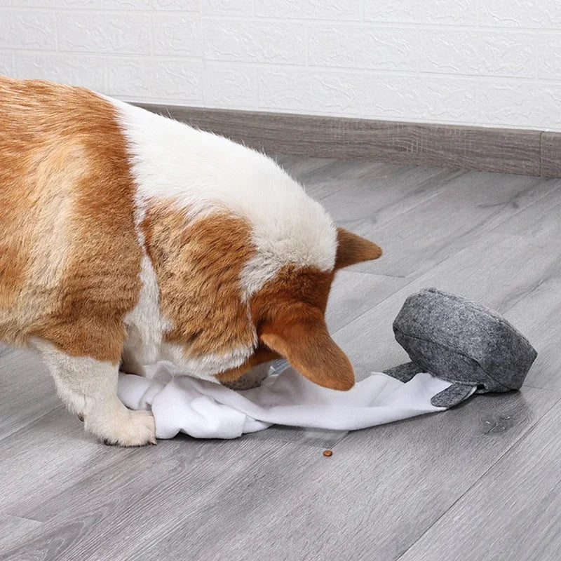 "Case of the Sniffles" Interactive Snuffle Toy