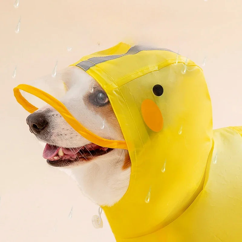 “Just Ducky” Dog Raincoat