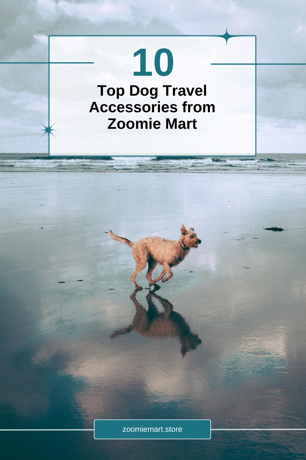 Top 10 Dog Travel Accessories from Zoomie Mart