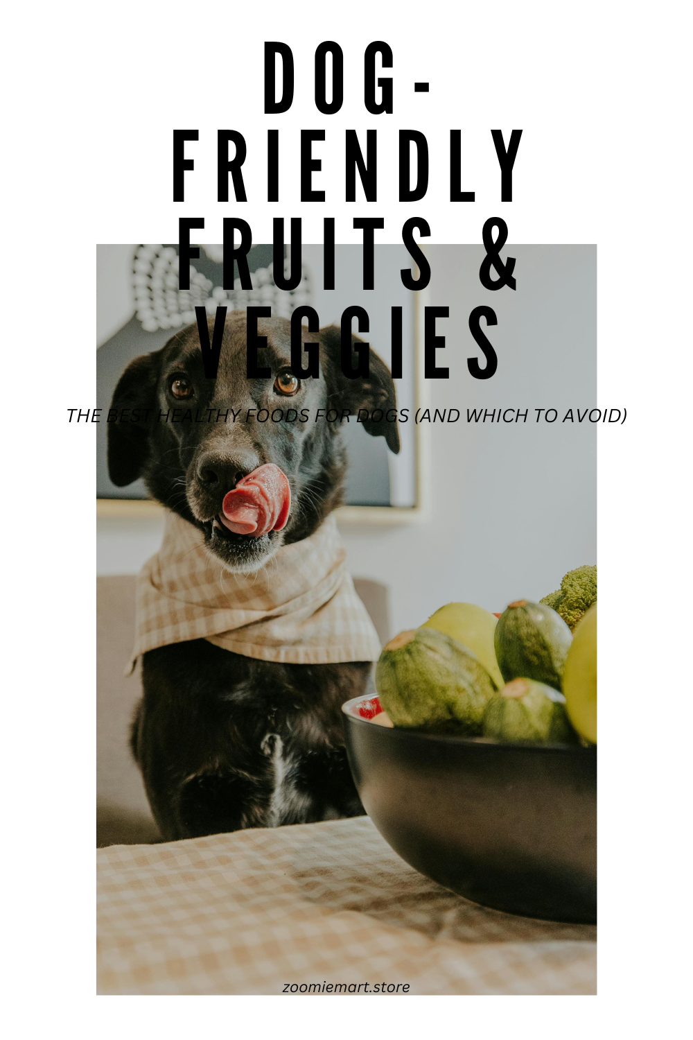 The Best Dog-Friendly Fruits & Veggies (And Which to Avoid)