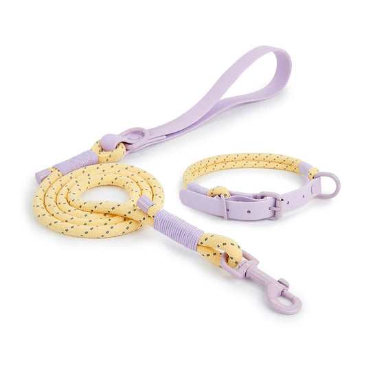 Pastel Paws Leash & Collar Set – Soft Pastel Dog Walking Set