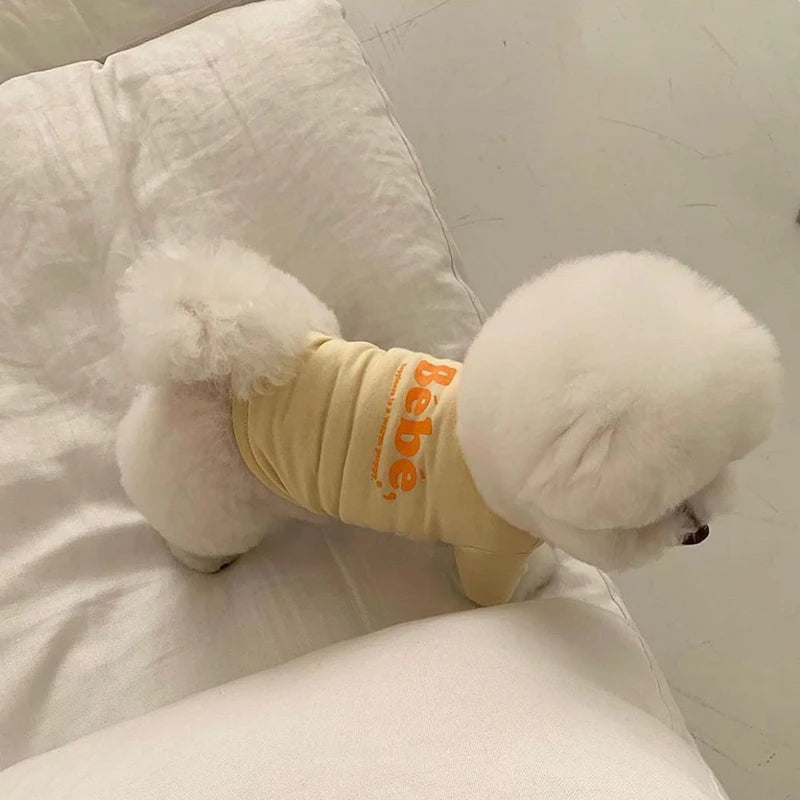 Pretty Lil’ Bebe Tee – Stylish Dog T-Shirt