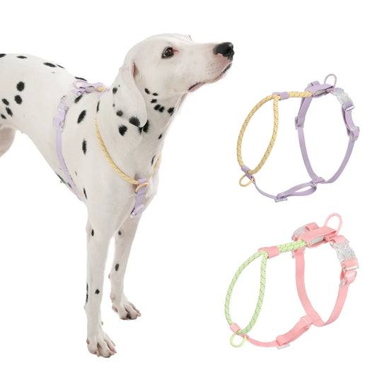 Pastel Paws Dog Harness