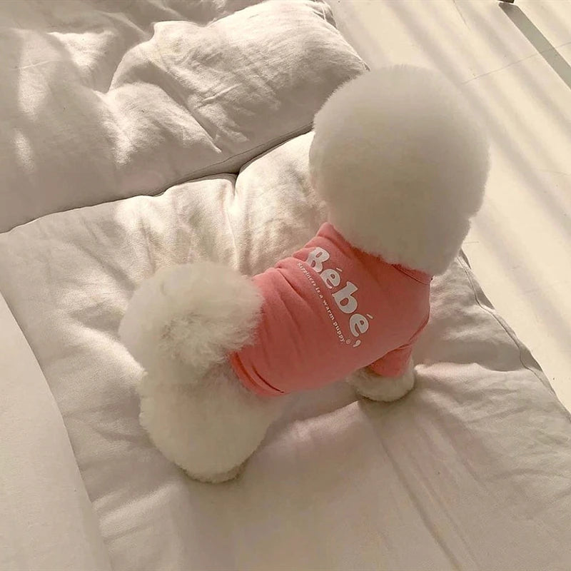 Pretty Lil’ Bebe Tee – Stylish Dog T-Shirt