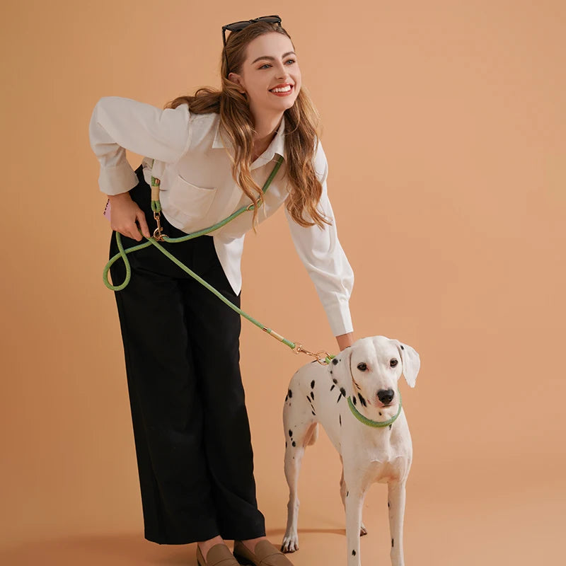 Wag-n-Walk Hands-Free Dog Leash