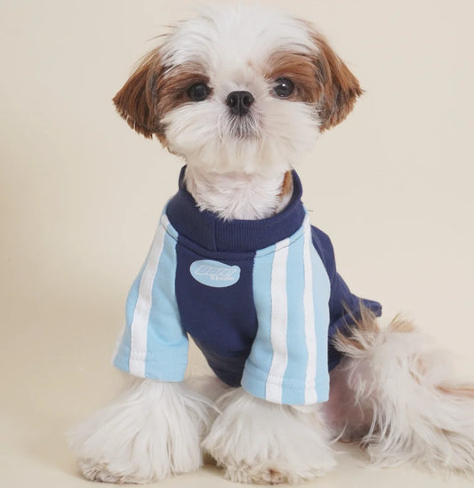 Team Zoomie Dog T-Shirt – Sporty Pup Tee