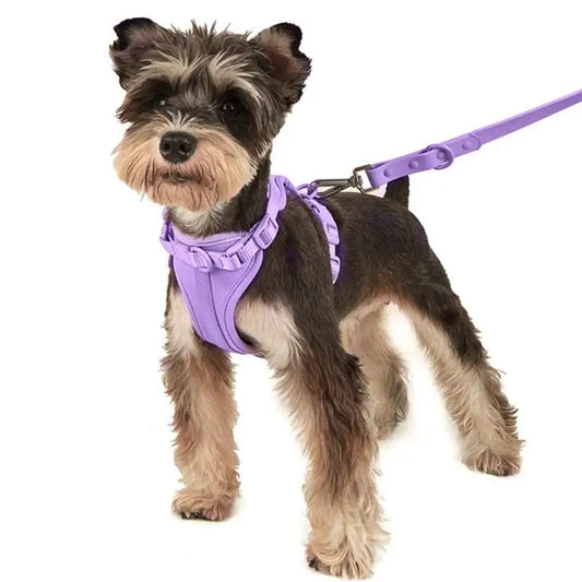 Walkies Dog Set – Matching Leash, Harness, Collar & Waste Bag Holder