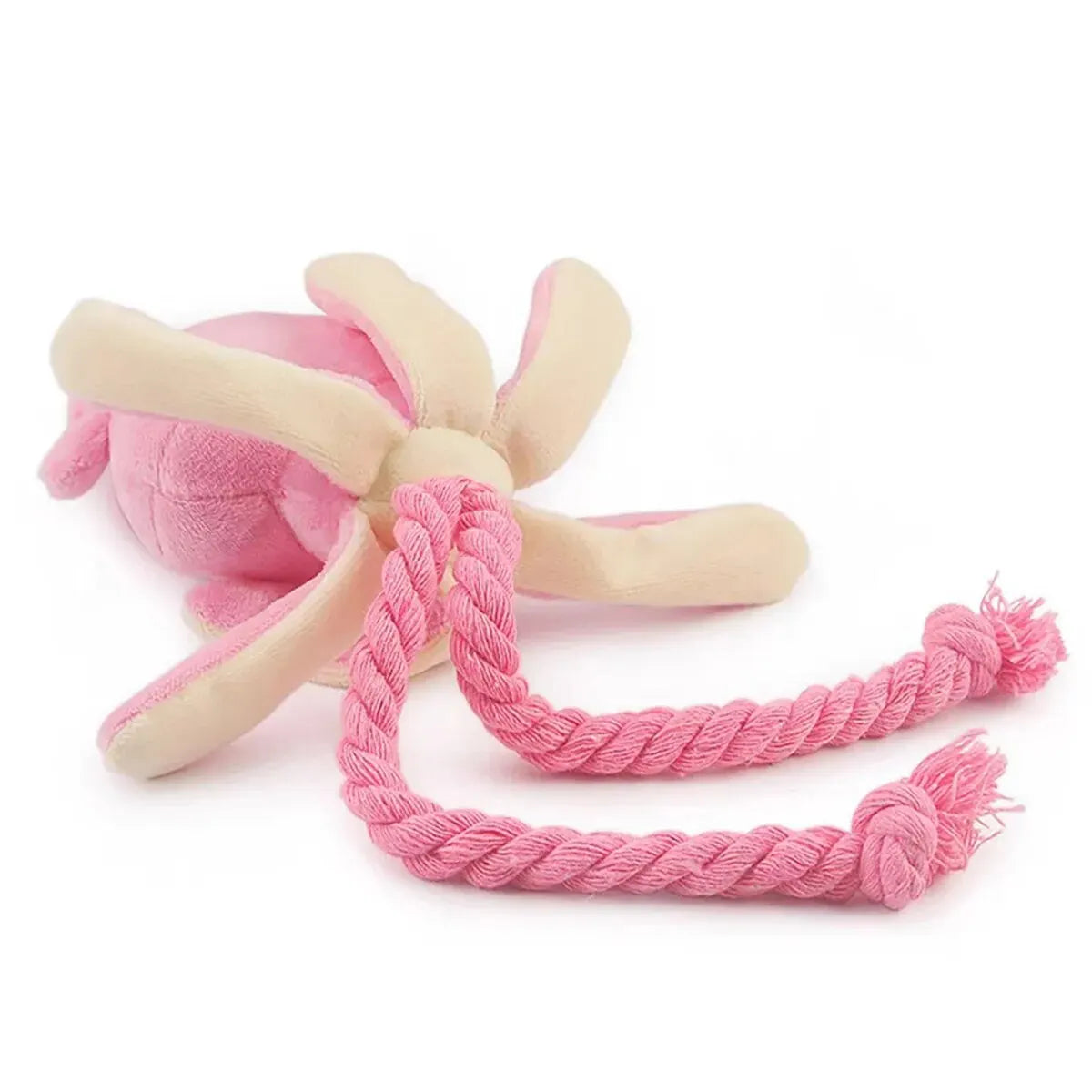 Squeaky Squid