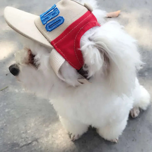 Perro Dog Baseball Hat – Cool & Sporty Pup Cap