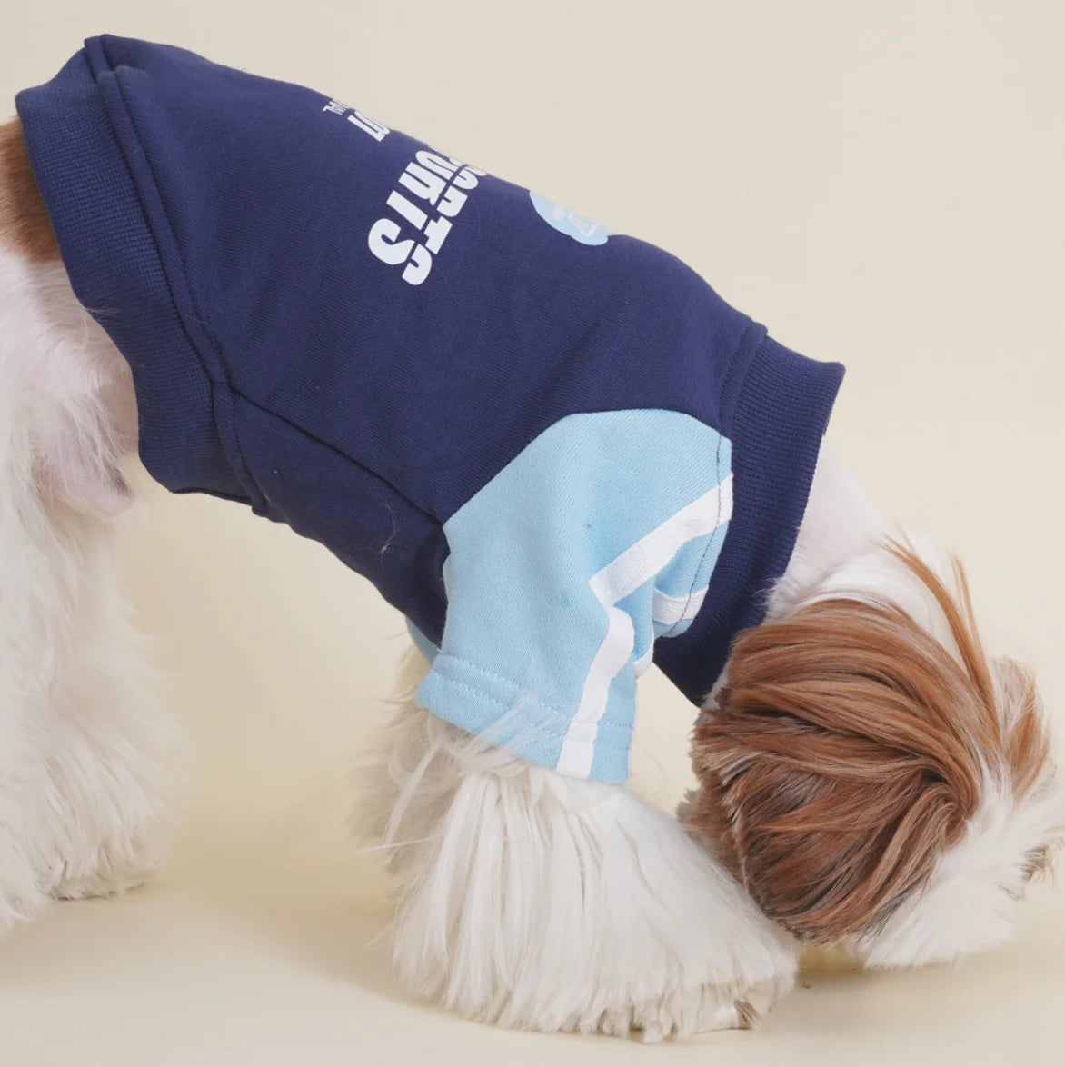 Team Zoomie Dog T-Shirt – Sporty Pup Tee