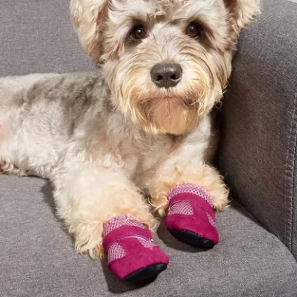 Paw Protectors Outdoor Dog Booties