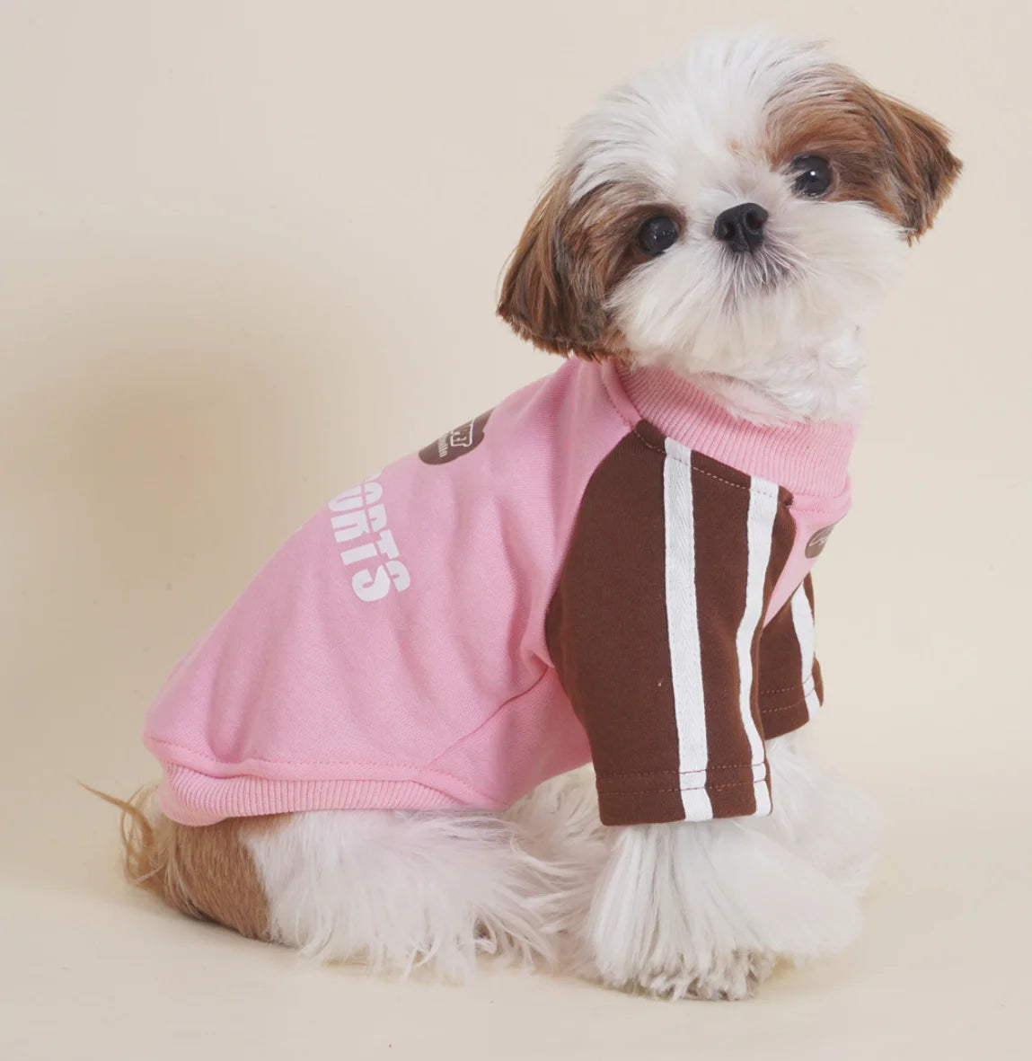 Team Zoomie Dog T-Shirt – Sporty Pup Tee