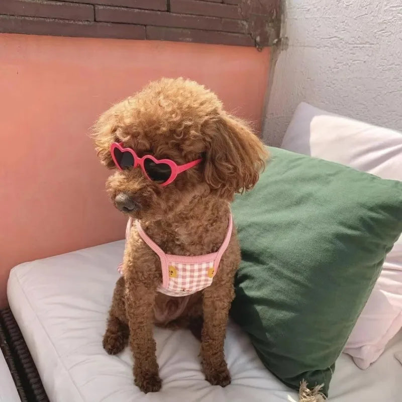 Puppy Love Shades – Heart-Shaped Sunglasses for Dogs