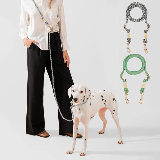 Wag-n-Walk Hands-Free Dog Leash