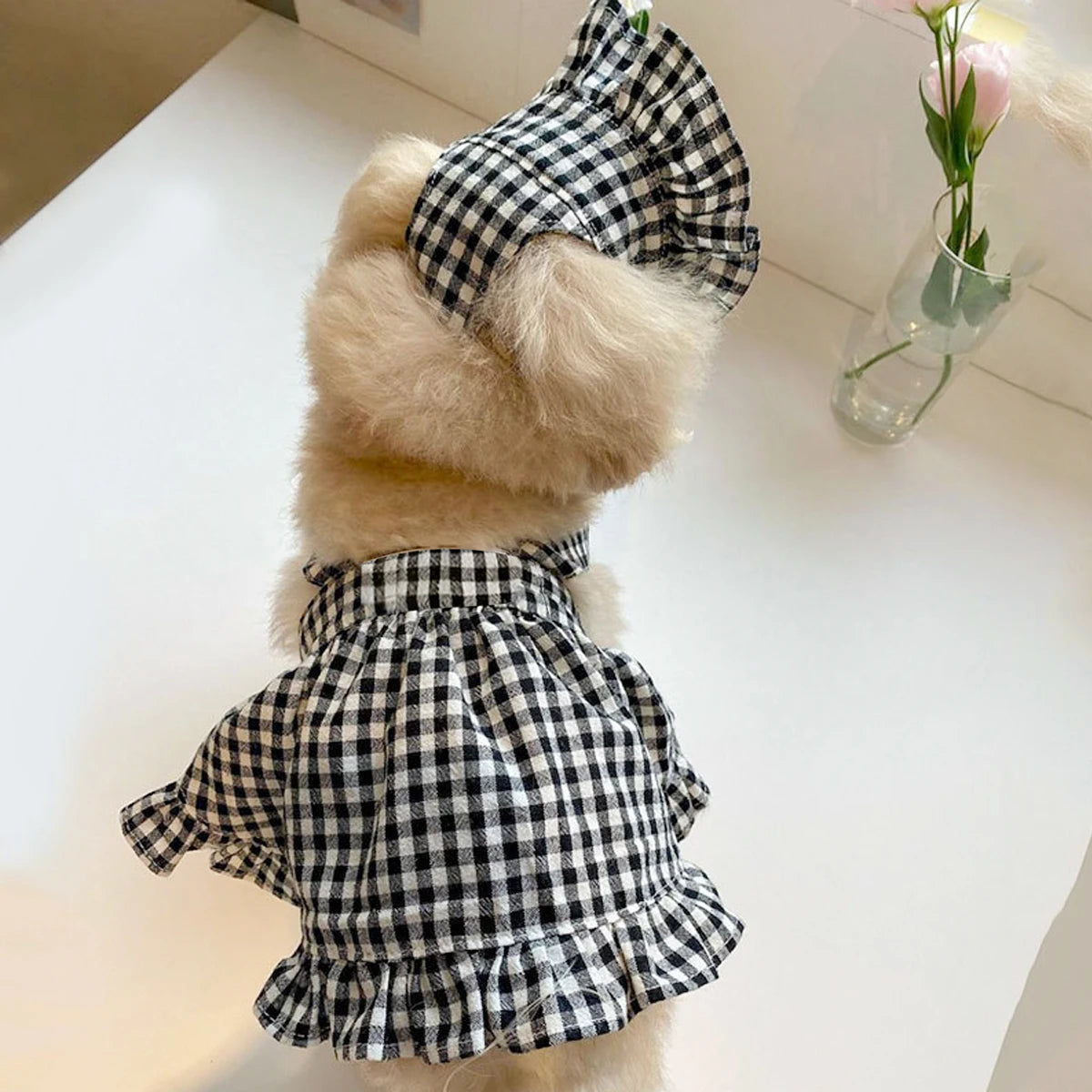 Small Dog Picnic Dress with Bonnet